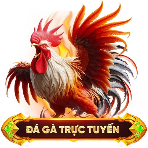 đá gà trực tuyến 78WIN